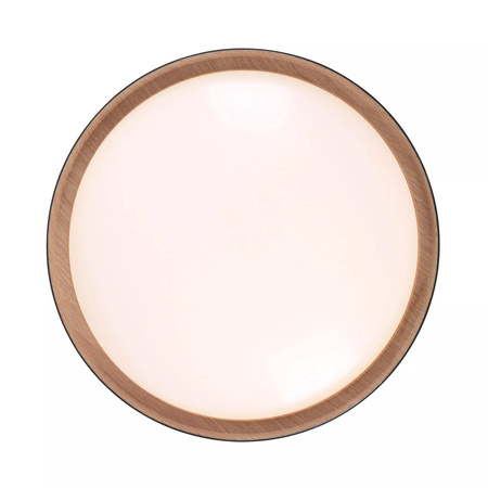 Plafon ściamnialny EMILIA (14347-18) - Paul Neuhaus