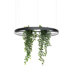 Żyrandol RIO BIO 78 czarny LED 3000K (TH.551) - Thoro Lighting