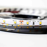 Taśma Pro 60 LED 24W 4000K IP65 5m (ML4751) - Milagro