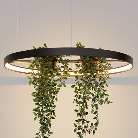 Żyrandol RIO BIO 78 czarny LED 3000K (TH.551) - Thoro Lighting