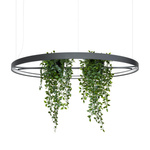 Żyrandol RIO BIO 110 czarny LED 4000K (TH.556) - Thoro Lighting