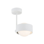 Lampa sufitowa 1 pł. MASSIMO PLUS (8058) - Argon