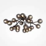 Lampa sufitowa Dallas (MOD545CL-20B) - Maytoni