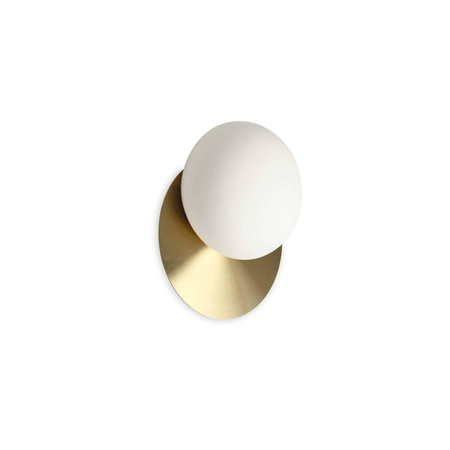 Lampa ścienna / Kinkiet NINFEA Mosiądz (NINFEA_AP1_OTTONE) - Ideal Lux