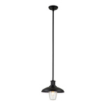 Lampa wisząca zewnętrzna Allenbury (KL-ALLENBURY-P-M-BKT) - Elstead Lighting