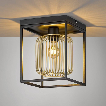 Lampa Sufitowa Caydo (21294) - Fischer&Honsel