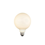 Żarówka Opaline (102614) Endon